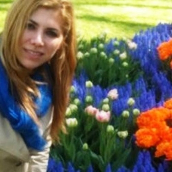 Keukenhof