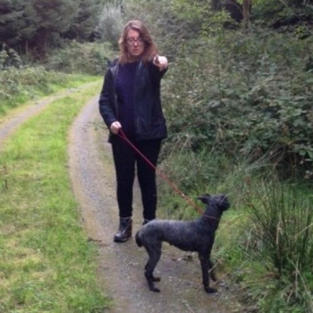 Boswandeling1