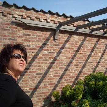 vane