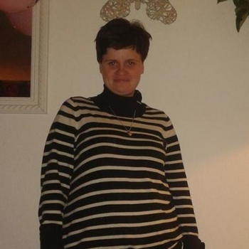 Dolfijn81