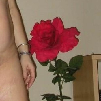 Bloemmetj610523