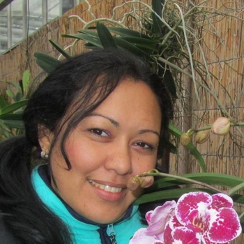 sthela