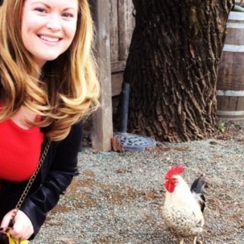 DontbeChicken